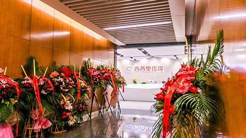 西西里傳媒、室內(nèi)LED屏安裝及弱電智能化系統(tǒng)工程